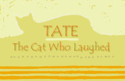 Tate, the Cat who Laughed
